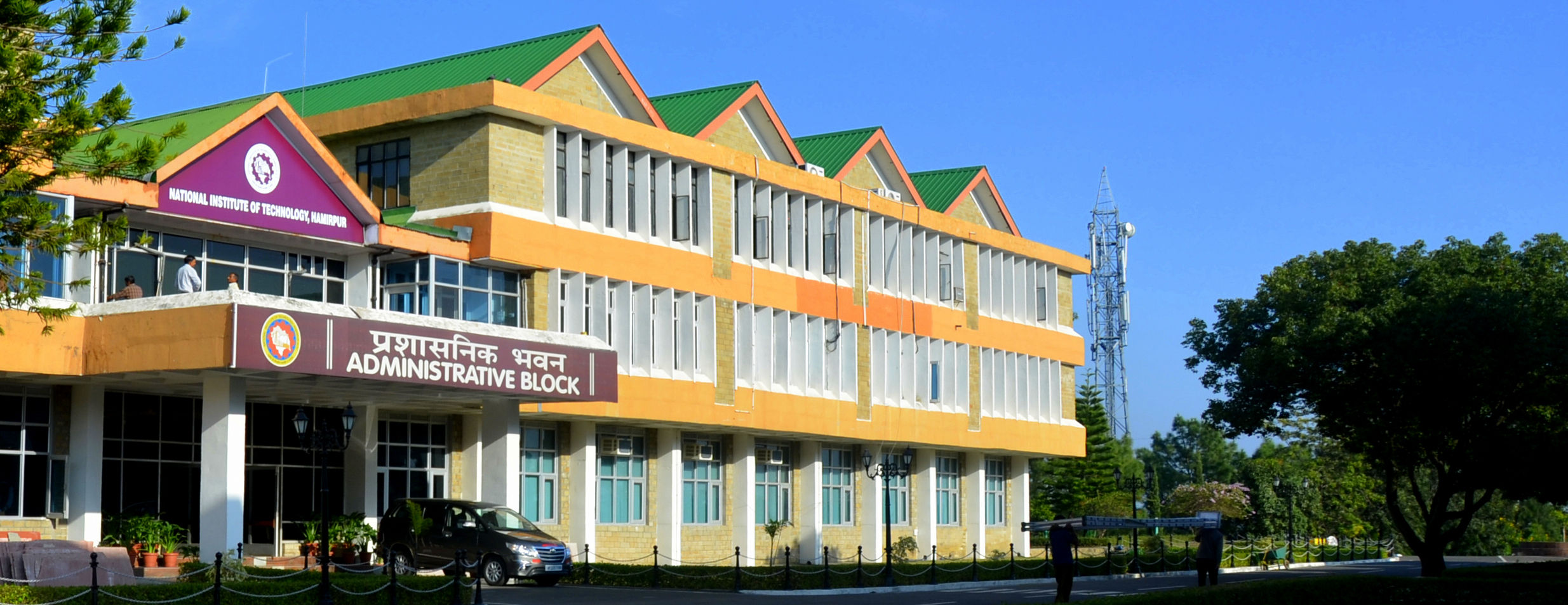 image for this category