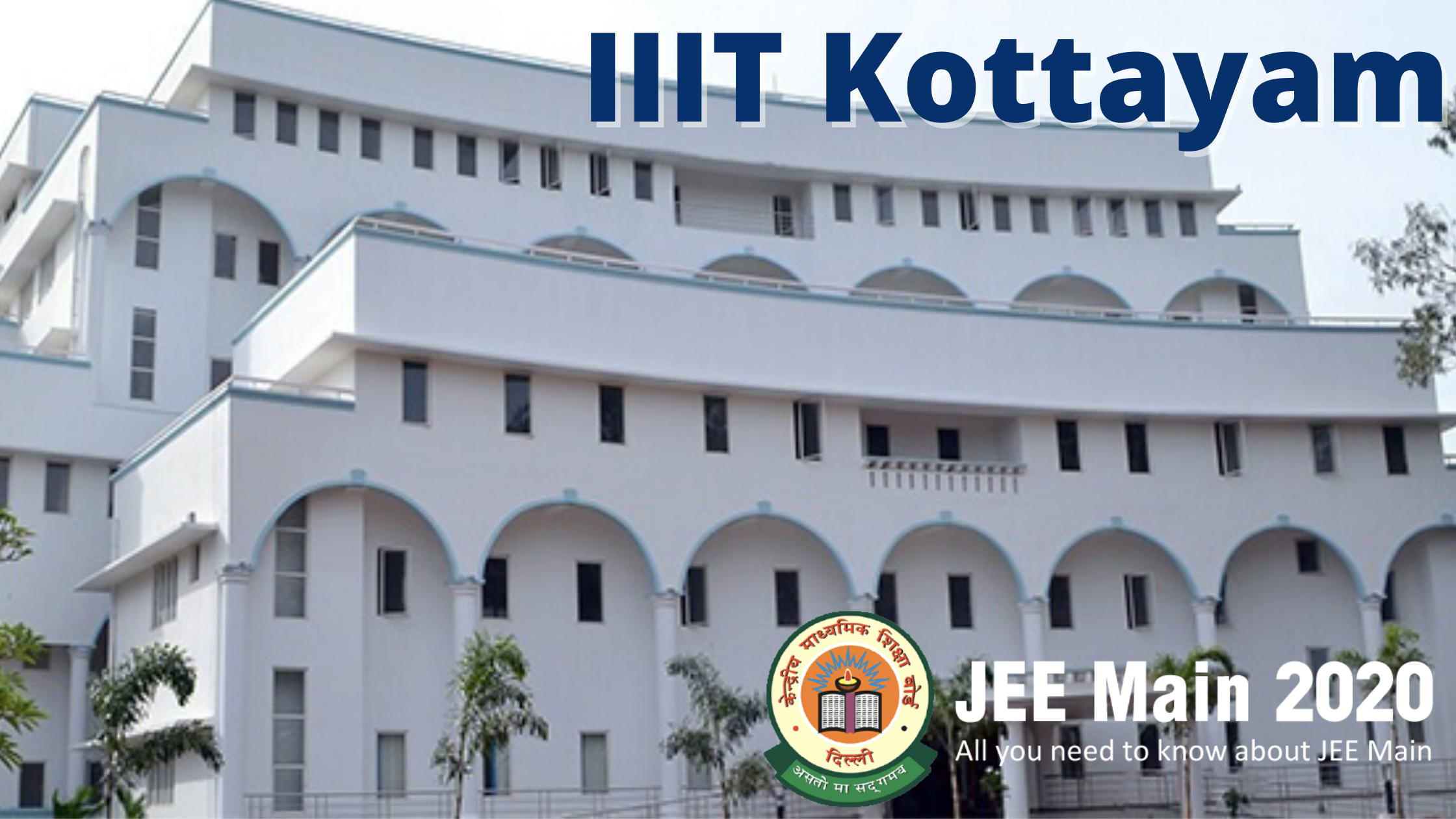 image for this category