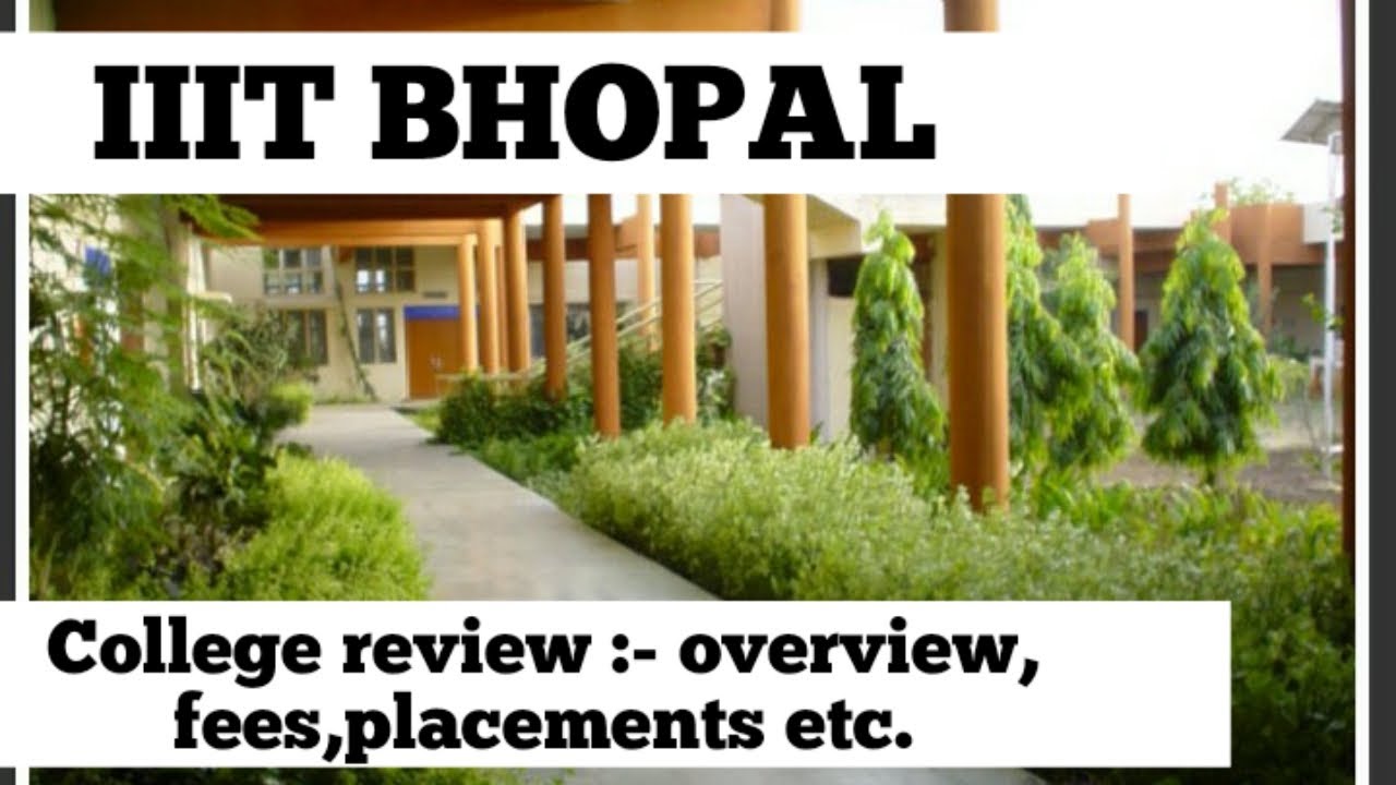 image for this category