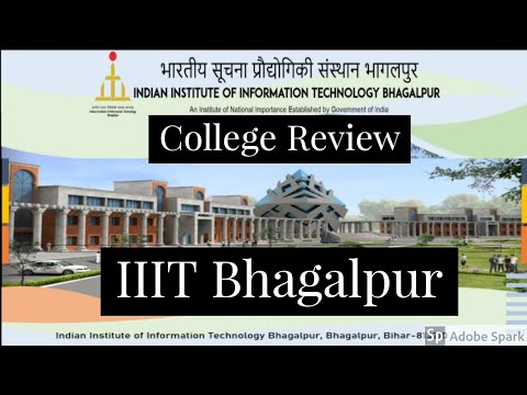 image for this category