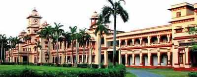 image for this category