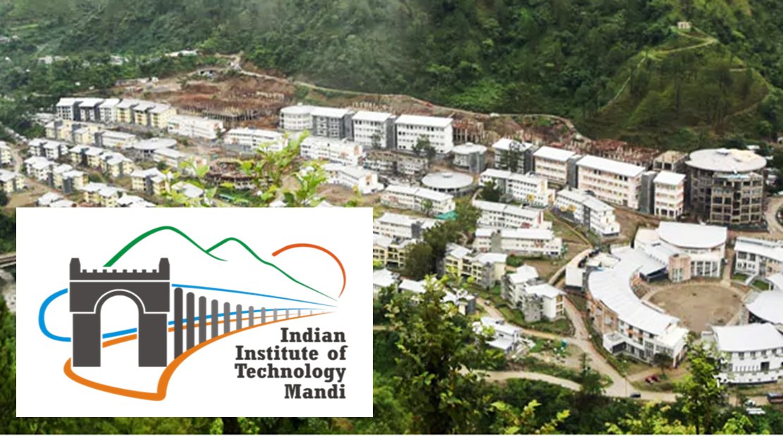 image for this category