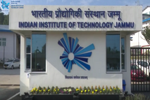 image for this category