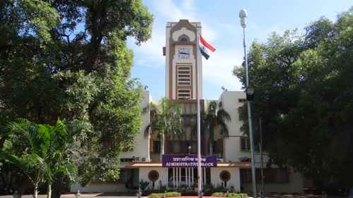 image for this category