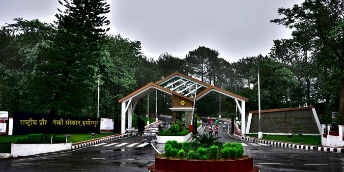 image for this category